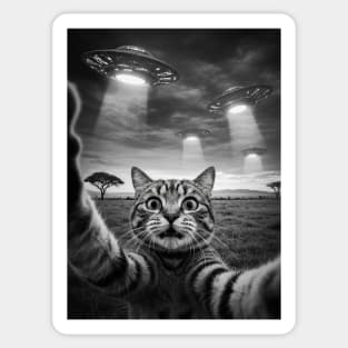 Selfie of Funny Cat And Aliens UFOs in African Savanna #4 Sticker
